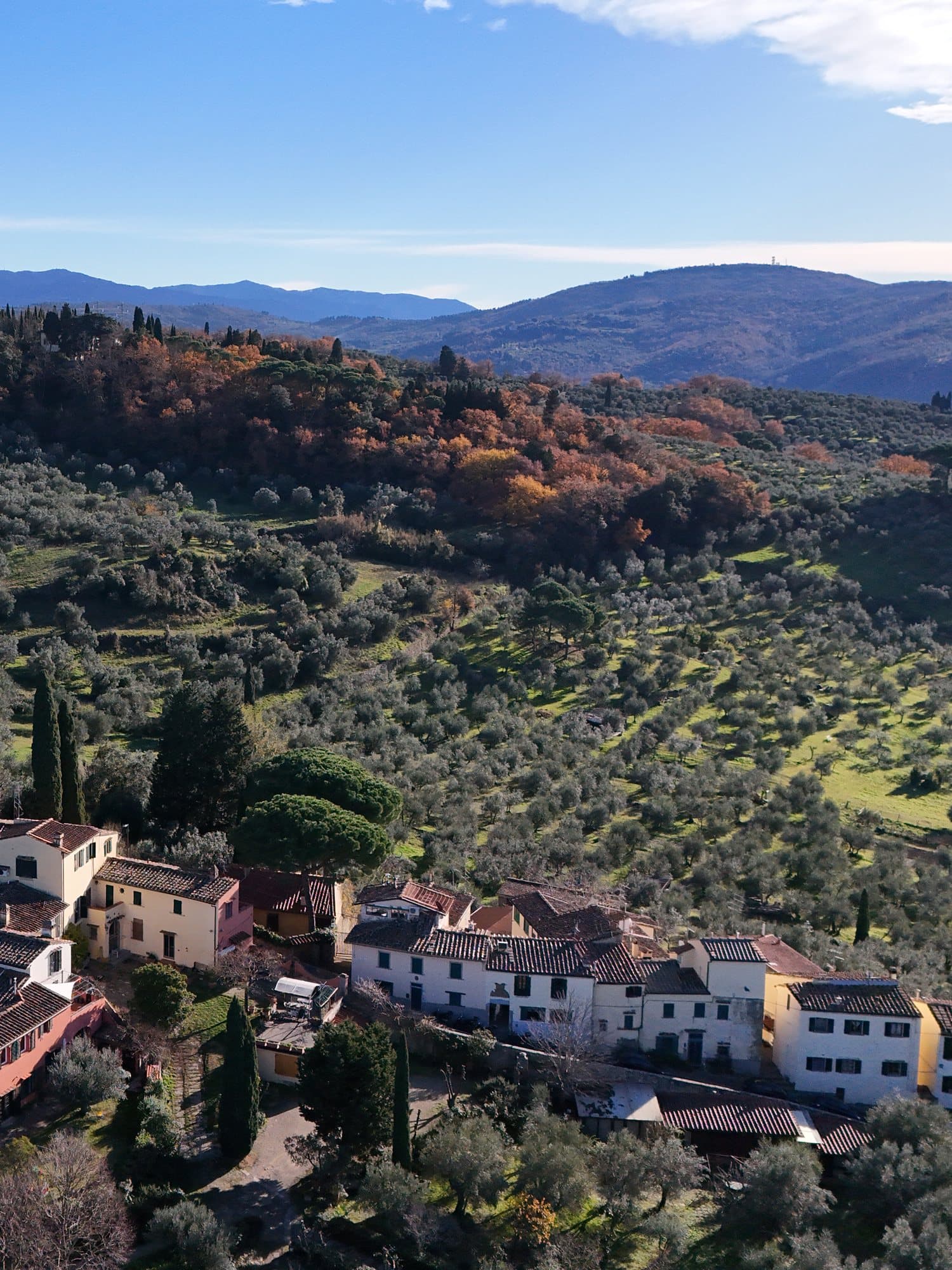 A hamlet among the olive groves on the hills of Florence